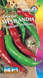 papryka-westlandia-ostra-zielona-nasiona-przyprawa-lobelia-smaczna