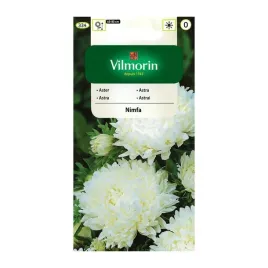 aster-chinski-peoniowy-nimfa-vilmorin-05g-bialy-kwitnie-dlugo-i-obficie
