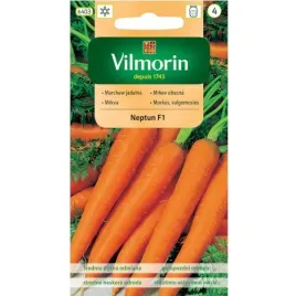 marchew-neptun-f1-srednio-pozna-nasiona-vilmorin-na-soki-i-przetwory