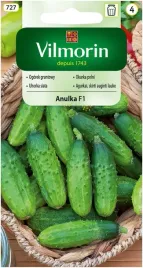 ogorek-anulka-f1-typ-korniszon-male-ksztaltne-ogoreczki-5-g-vilmorin