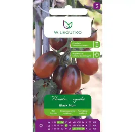 pomidor-gruntowy-tyczny-black-plum-czarny-koktjlowy-slodki-smaczny-nasiona