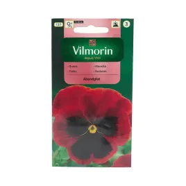 bratek-szwajcarski-abendglut-0-5g-vilmorin-czerwono-czarny-nasiona