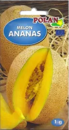 melon-jaune-canaii-2-srednio-pozny-owoce-do-2kg-slodki-barwy-bialej-polan