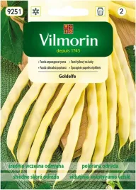 fasola-goldelfe-nasiona-10-g-zolta-tytpu-mamut-srednio-wczesna-vilnorin