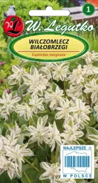 wilczomlecz-bialobrzegi-bialo-zielone-05g-nasiona-odstrasza-krety-nornice