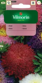 aster-chinski-ksiazecy-mix-1-g-vilmorin-mix-kolorow-odmian-nasiona