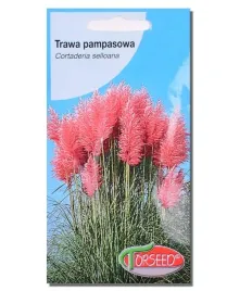olbrzymie-pioropusze-2-metry-trawa-pampasowa-rozowa-trawa-ozdobna-nasiona
