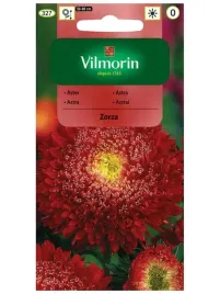 aster-chinski-ksiazecy-zorza-purpuroworozowy-05-g-vilmorinpurpurowo-rozowy