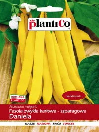 fasola-zwykla-karlowa-daniela-nasiona-40g-zolta-odporna-na-choroby