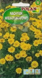 nachylek-wielkokwiatowy-trwaly-sunburns-zolty-nasiona-1g-mioodajny