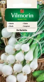 cebula-nasiona-biala-barletta-vilmorin-nasiona-2g-wczesna-szczypior