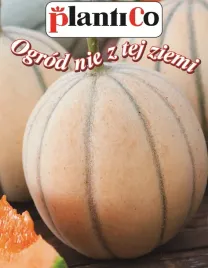 melon-charentais-nasiona-plantico-1g-smaczny-planny-aromatyczny-plantico