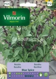 bazylia-blue-spice-1g-vilmorin-zapach-wanilli-aromatyczna