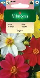 dalia-zmienna-karlowa-pojedyncza-mignon-mix-1g-mix-kolorow-odmian