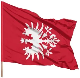 flaga-powstania-wielkopolskiego-powstanie-wielkopolskie-premium-112x70-cm