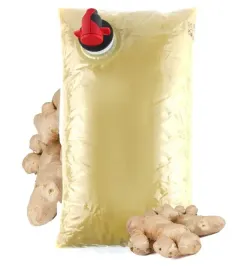 sok-z-imbiru-100percent-tlocznia-szymanowice-2l-nfc-tloczony-sok-z-imbiru