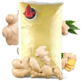 sok-z-imbiru-100percent-2l-naturalny-bez-dodatku-cukru-bez-konserwantow