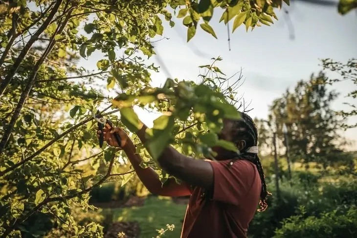 fiskars-sekator-nozycowy-solid-p321-stan-nowy-maksymalna-grubosc-cietej-galezi-20-mm