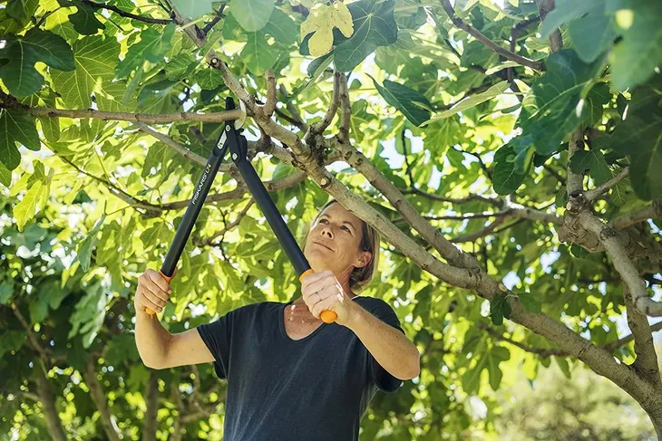 fiskars-sekator-nozycowy-hook-m-l74-maksymalna-grubosc-cietej-galezi-38-mm