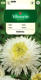 aster-chinski-ksiazecy-balbinka-bialy-05g-obficie-kwitnie-nasiona-vilmorin
