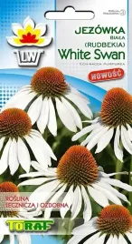 rudbekia-jezowka-biala-echinacea-alba-50-nasion-torf-nasiona