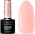 Kolor / wzór produktu #160