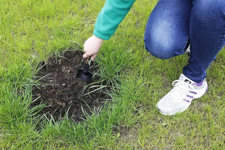 fiskars-lopatka-planterska-solid-szeroka-stan-nowy-kod-producenta-137000-1000694