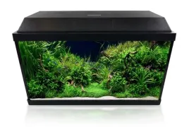 invital-led-zestaw-60l-z-filtrem-i-grzalka