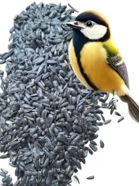 slonecznik-czarny-14-kg-pokarm-dla-papug-karma-dla-ptakow-grtis-kula