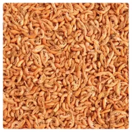 glopex-kielz-syberyjski-suszony-gammarus-150g-1l