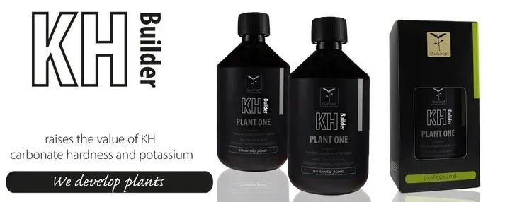 qualdrop-kh-builder-500-ml