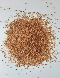 petra-proso-zolte-karma-pokarm-dla-ptakow-papug-falistych-srednich-25