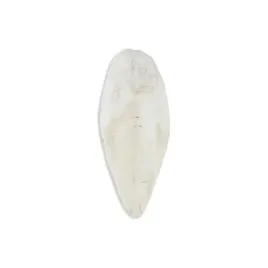 akinu-kosc-sepia-wolno-1kg-20-25-cm