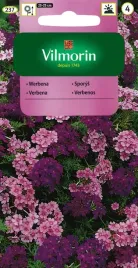 werbena-zwisajaca-mieszanka-03g-nasiona-vilmorin-przyciaga-owady-fioletowa