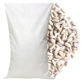 slonecznik-luskany-10kg-piekarniczy-ziarno-dla-ptakow-golebi-sikorek