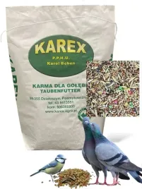 karma-ziarno-dla-dzikich-zimujacych-ptakow-slonecznik-do-karmnika-20