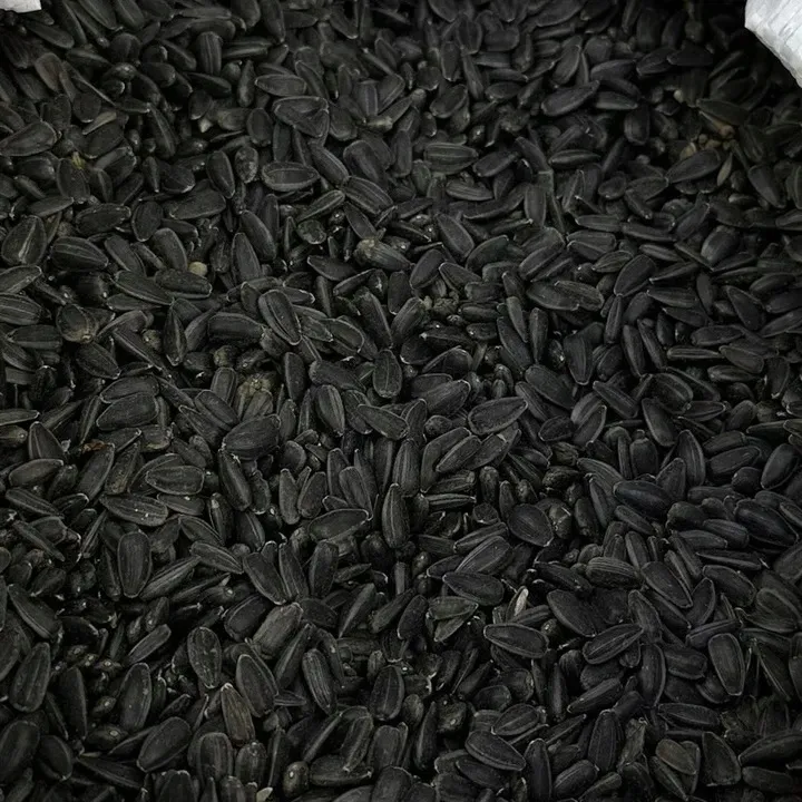 slonecznik-czarny-20-kg
