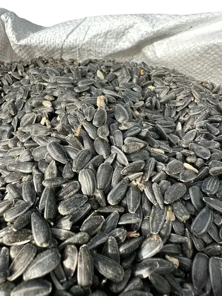 slonecznik-czarny-20-kg-marka-kampol