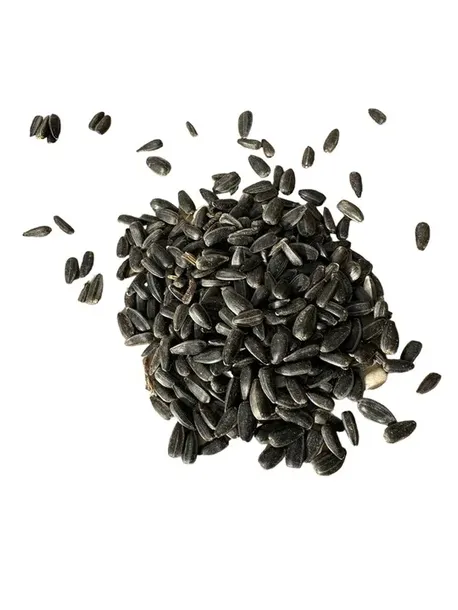 slonecznik-czarny-20-kg-rodzaj-slonecznik