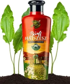 banfi-hajszesz-wcierka-do-wlosow-klasyczna-250-ml-na-wypadanie-porost