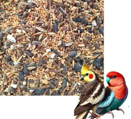 pokarm-dla-papug-srednich-ziarno-karma-dla-nimfy-nierozlaczki10-kg