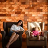 cegla-solna-himalajska-20x10x25-jednostronnie-lupana-do-groty-solnej-sauny-stan-nowy-klasa-efektywnosci-energetycznej-brak-klasy-energetycznej