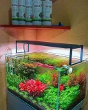 invital-ferox-500-ml-stan-opakowania-oryginalne