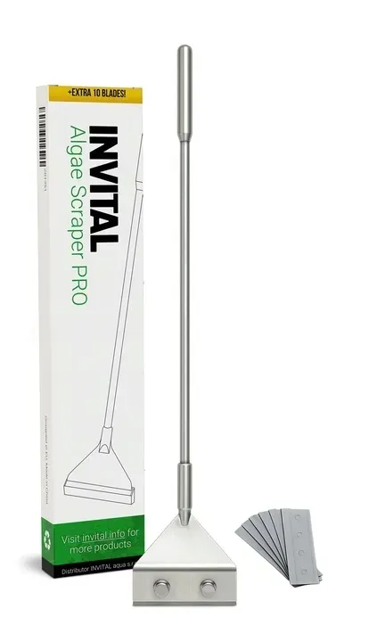 invital-algae-scraper-pro