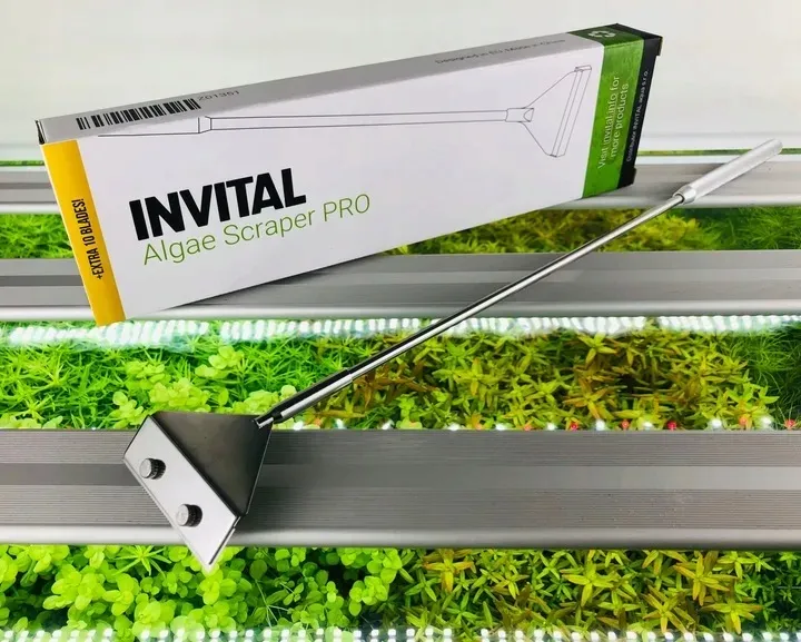 invital-algae-scraper-pro