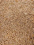 slodki-bufet-posypka-cukrowa-old-gold-blend-90g-stan-nowy