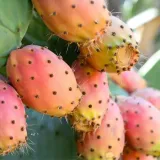 olej-z-opuncji-figowej-100percent-naturalny-na-zmarszczki-pielegnacja-twarzy-stan-nowy