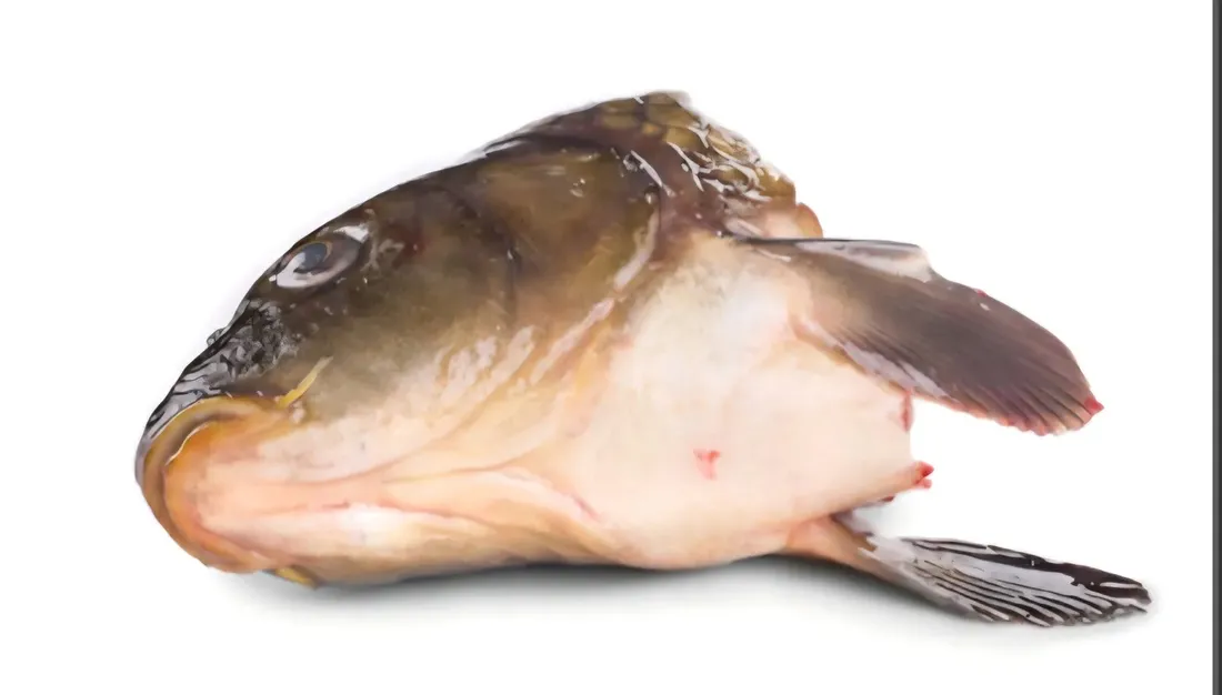 karp-glowa-1szt