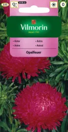 aster-chinski-peoniowy-opalfeuer-nasiona-vilmorin-rozowy-kwiaty-ciete