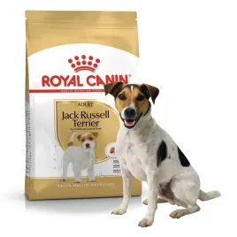 royal-canin-sucha-karma-dla-psa-breed-jack-russell-adult-15kg